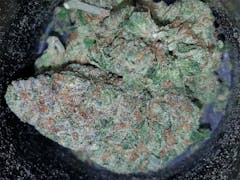 User uploaded image of OG Cheese