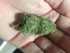 User uploaded image of OG Cheese