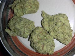 User uploaded image of OG Cheese