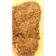 User uploaded image of OG Chem