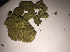 User uploaded image of OG Diesel Kush