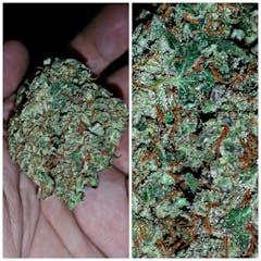 User uploaded image of OG Diesel Kush