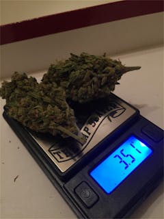 User uploaded image of OG Diesel Kush