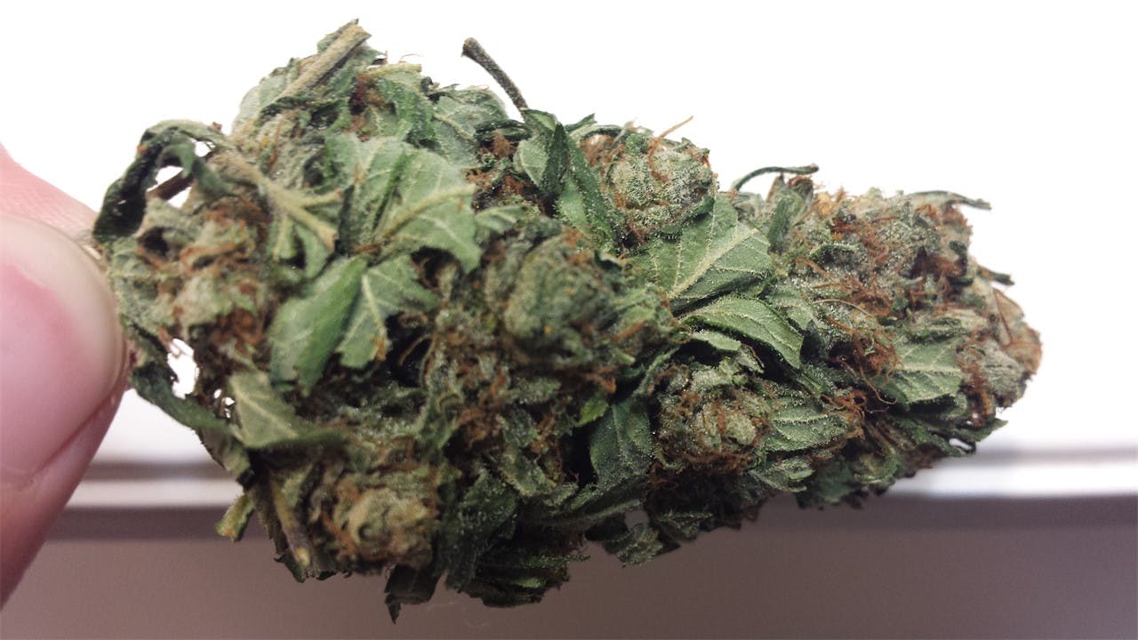 Photos of OG Diesel Kush Weed Strain Buds Leafly