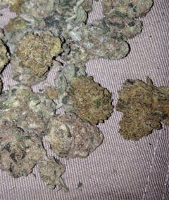 User uploaded image of Eddy Lepp