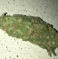 User uploaded image of OG Kush
