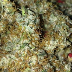 User uploaded image of OG Kush