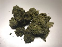 User uploaded image of OG Poison