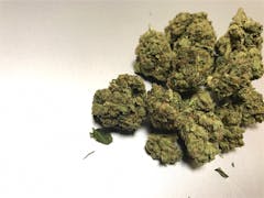 User uploaded image of OG Poison