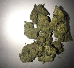 User uploaded image of OG Poison