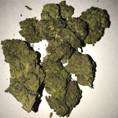 User uploaded image of OG Poison