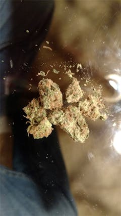 User uploaded image of OG Poison