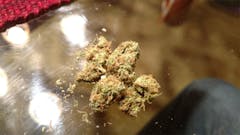 User uploaded image of OG Poison