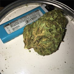 User uploaded image of OG Ringo