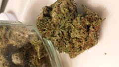 User uploaded image of OG's Pearl