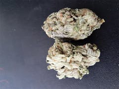 User uploaded image of OG Shark