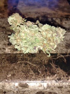 User uploaded image of OG Skunk