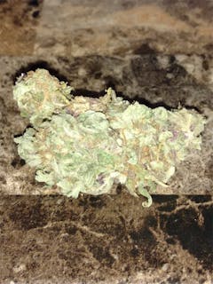 User uploaded image of OG Skunk