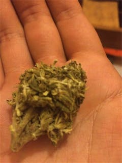 User uploaded image of OG Skunk