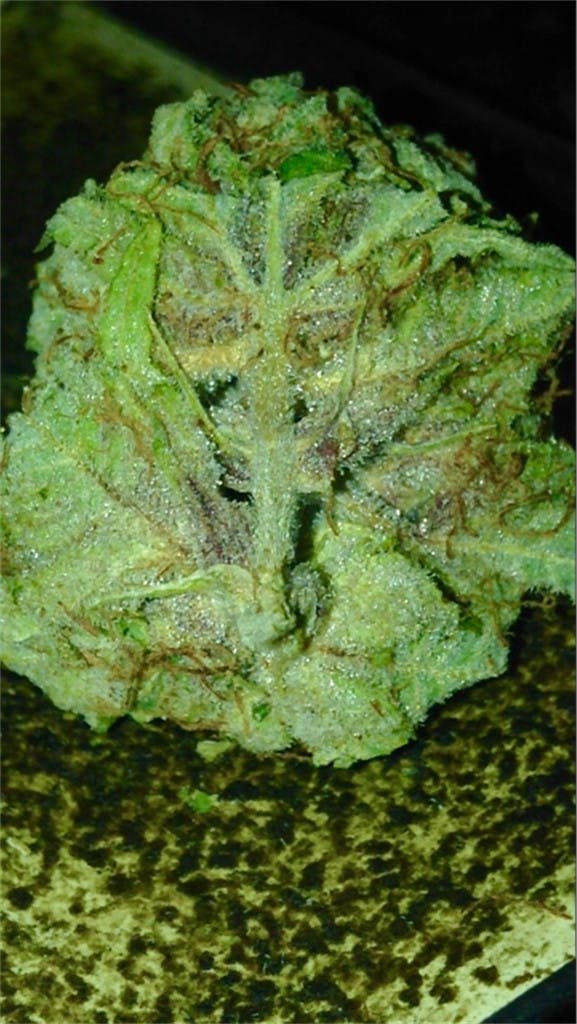 OG Strawberry aka Strawberry OG, Strawberry OG Kush Weed Strain