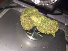 User uploaded image of OG Tonic