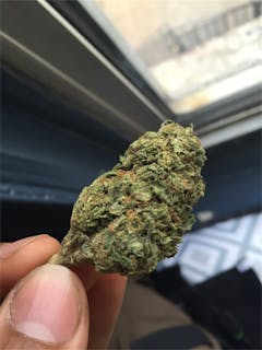 User uploaded image of OGiesel