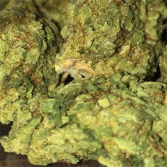 User uploaded image of Ogre