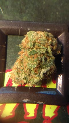 User uploaded image of Ogre