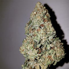 User uploaded image of Ogre