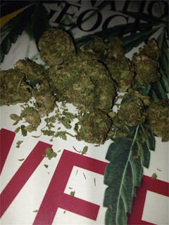 User uploaded image of Ogre