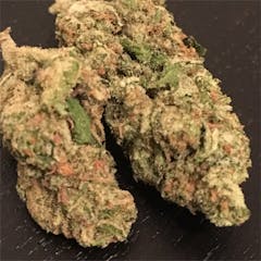User uploaded image of Old Mother Sativa