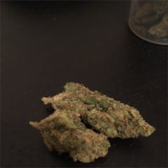 User uploaded image of Old Mother Sativa