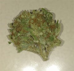 User uploaded image of Omega Dawg