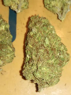 User uploaded image of Omega Dawg