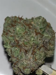 User uploaded image of Omega