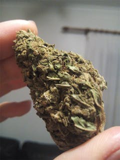 User uploaded image of Omega