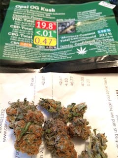 User uploaded image of Opal OG Kush