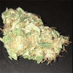 User uploaded image of Opium