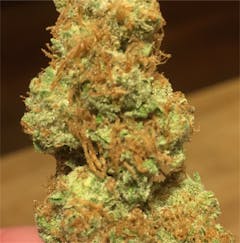 User uploaded image of Opium