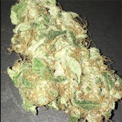 User uploaded image of Opium