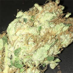 User uploaded image of Opium