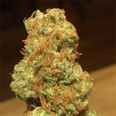 User uploaded image of Opium