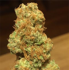 User uploaded image of Opium