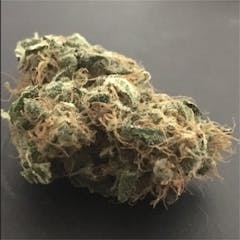 User uploaded image of Opium