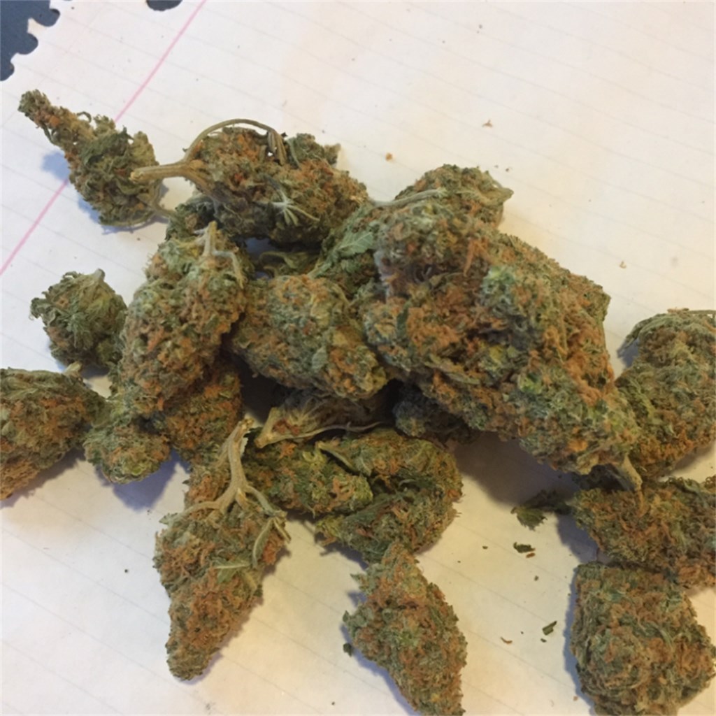Orange Bud Marijuana Strain Information