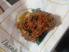 User uploaded image of Orange Bud