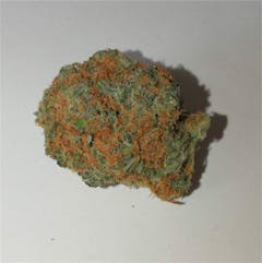 User uploaded image of Orange Bud