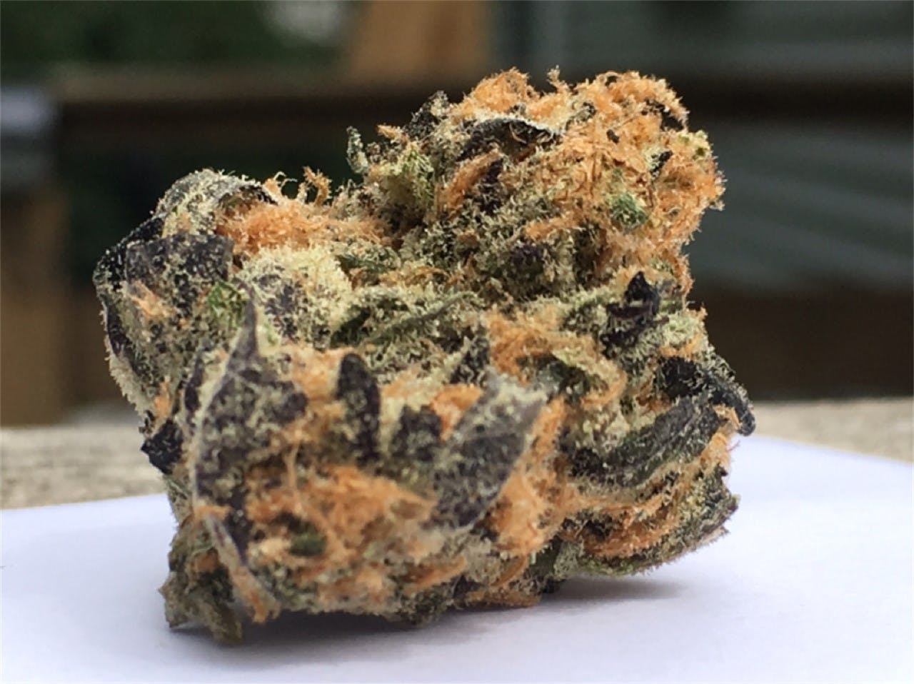 Orange Cookies Weed Strain Information Leafly