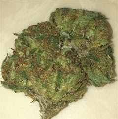 User uploaded image of Orange Cookies
