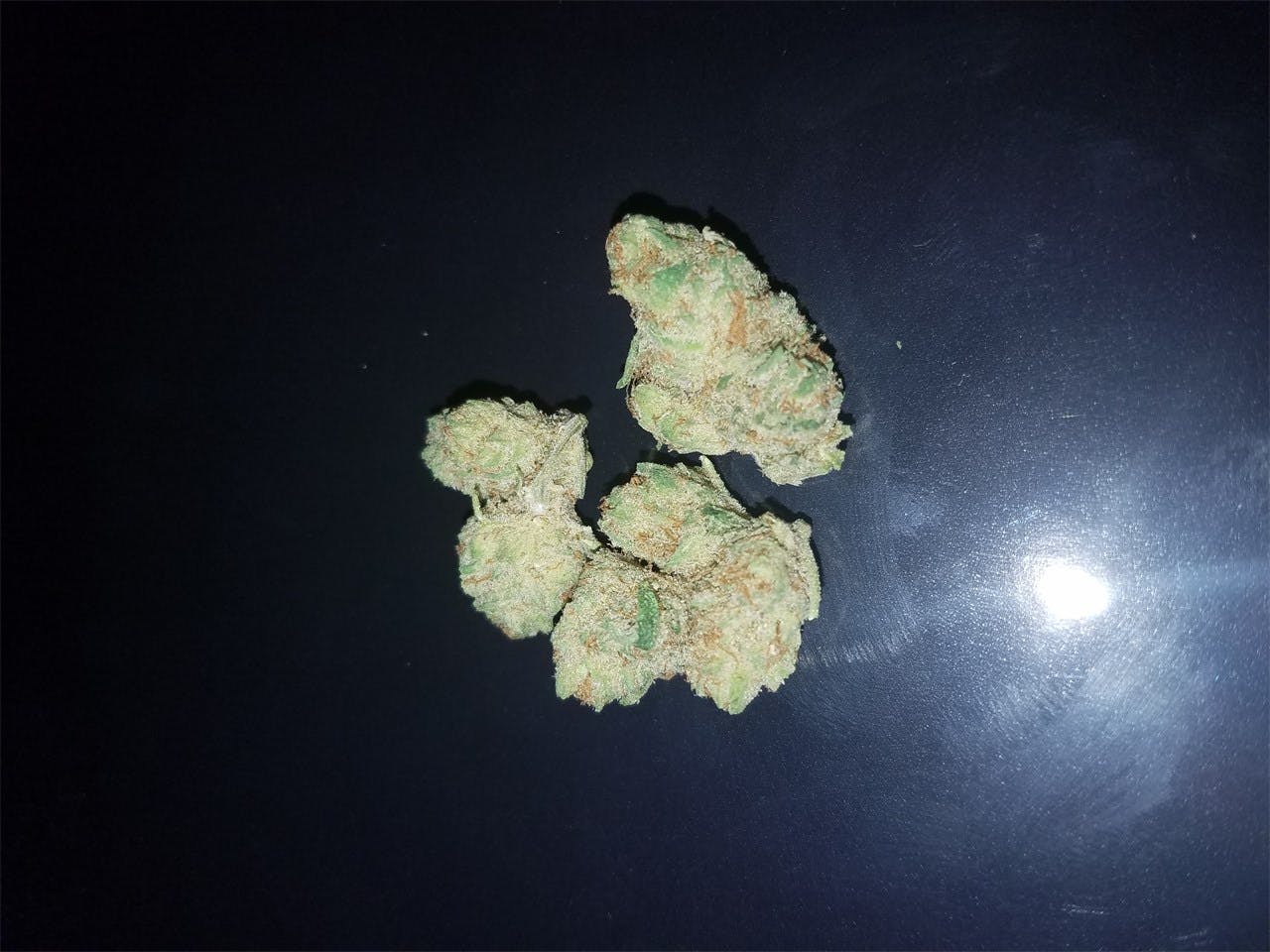 Orange Cookies Weed Strain Information Leafly